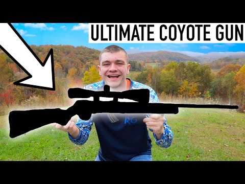 ULTIMATE Coyote Hunting Rifle!