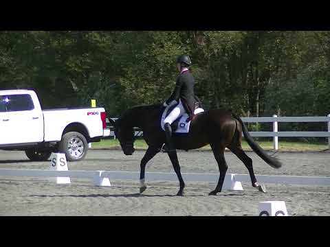 Caroline Martin & Cristano Z CCI 2 star Dressage