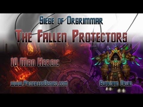 Progress Denied vs The Fallen Protectors Heroic - Guardian Tank PoV