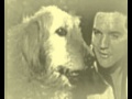 Old Shep  -  Elvis Presley