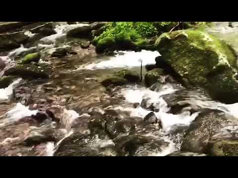 Creek that runs through Elkmont