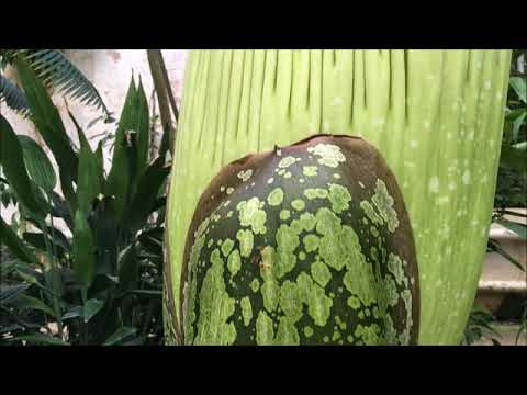 Botanischer Garten Göttingen