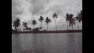 preview picture of video '1308  ALAPUZHA BOATING  TRAVEL VIEWS by www.travelviews.in, www.sabukeralam.blogspot.in'