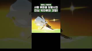 사황 루피를 당황시킨 진심 키자루의 강함 #onepiece #원피스