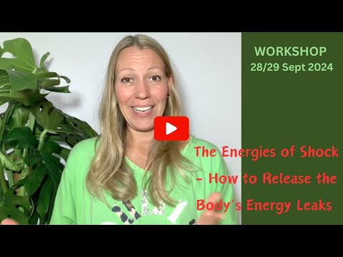 Workshop - The Energies of Shock