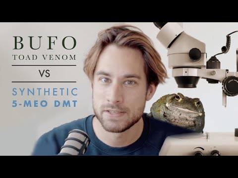 What is the difference between Bufo toad venom & synthetic 5-MeO-DMT?