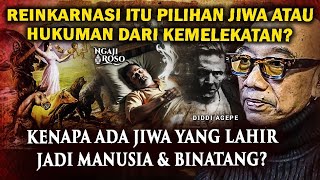 Download lagu 💥IS REINCARNATION A CHOICE OF THE SOUL OR A PUNISHMENT FROM ATTACHMENT? mp3