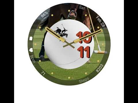Polo (Animated) - Watch Face