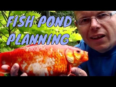 Planning a Garden Pond - Fish Pond | Any Pond Limited | UK