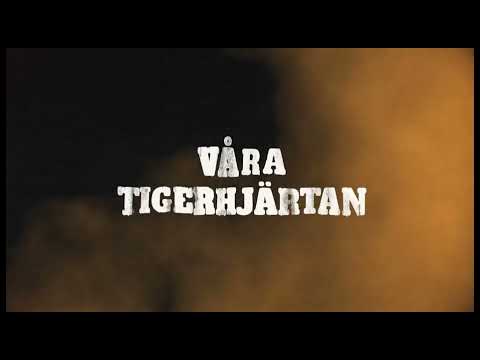 Intro  -  Västerås Rönnby IBK  --  SSL  \\  2025