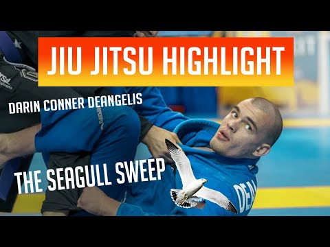 The Only Sweep You Need To Win BJJ Tournaments! The Seagull Sweep