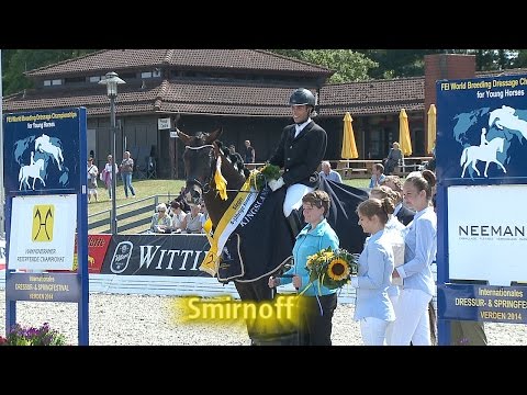 Hannoveraner Reitpferde-Championat 2014 der Vierjährigen Hengste - Smirnoff