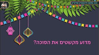 מדוע מקשטים את הסוכהואיך זוכים בשפע העצום שלחג סוכות הרב שלמה לוינשטיין שליט''א (הרב שלמה לוינשטיין) - התמונה מוצגת ישירות מתוך אתר האינטרנט יוטיוב. זכויות היוצרים בתמונה שייכות ליוצרה. קישור קרדיט למקור התוכן נמצא בתוך דף הסרטון מדוע מקשטים את הסוכהואיך זוכים בשפע העצום שלחג סוכות הרב שלמה לוינשטיין שליט''א (הרב שלמה לוינשטיין) - התמונה מוצגת ישירות מתוך אתר האינטרנט יוטיוב. זכויות היוצרים בתמונה שייכות ליוצרה. קישור קרדיט למקור התוכן נמצא בתוך דף הסרטון