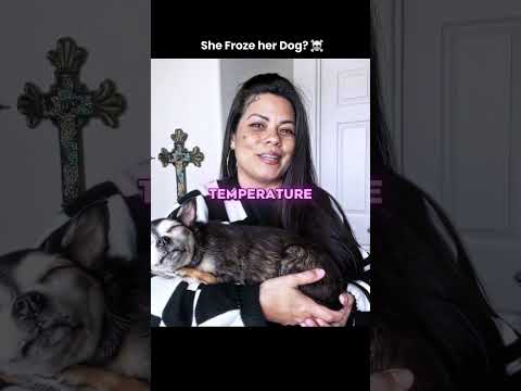 Do you think this is WRONG? #animals #dog #pet #cat