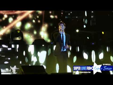 [FANCAM] 140420 BEST OF BEST Nanjing Concert SJ+SJM CUT