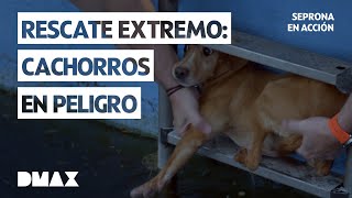 Thumbnail del capítulo