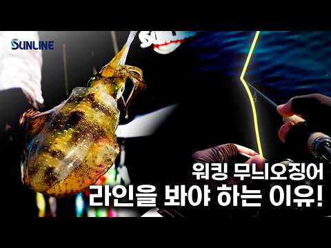 워킹 에깅에서 라인을 봐야 하는 이유...