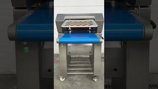 Maja ESB 4434 2P fish processing equipment for sale - Image 4 | Machineryline TZ Maja ESB 4434 2P fish processing equipment | Image 4 - Machineryline