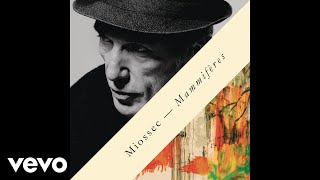 Miossec - L'innocence (Audio)