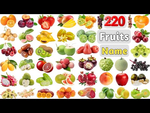 Fruits Name ll Learn 220 Fruits Name in English With Pictures ll All Fruits Name ll Fruits