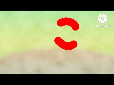 Certaphone startup and shutdown are the company