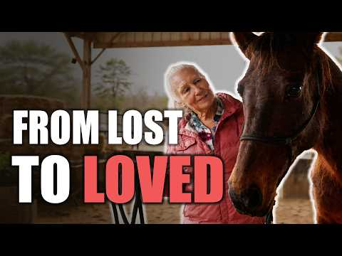 Two Different Journeys. One Happy Ending. | Horse Shelter Heroes - S7E8