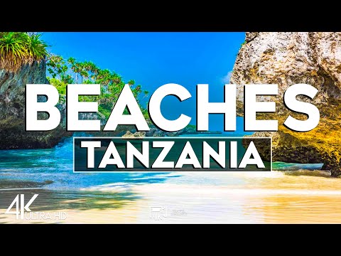 Top 10 Best Beaches in Tanzania - Travel Guide 2025