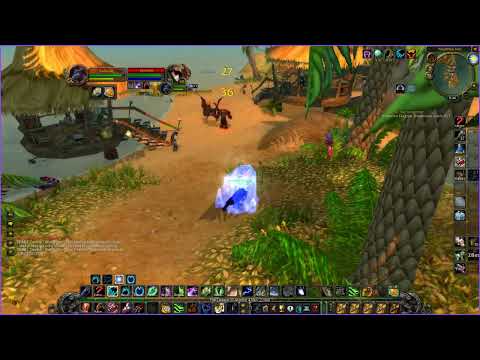 BiS Hunter vs Feral Druid duel