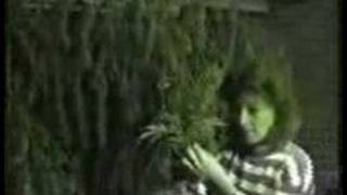 AMON DÜÜL II - VIVE LA TRANCE - Apocolyptic Bore