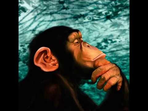 Pablo Carrouche "No te conformes"