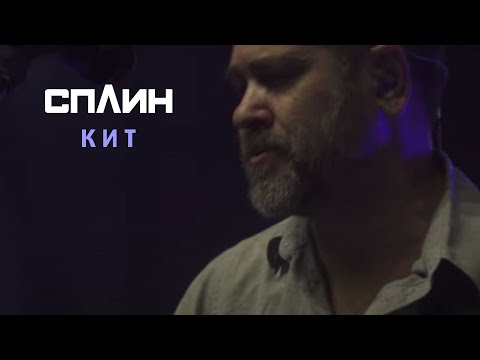 Сплин "Кит"