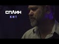 Сплин - Кит