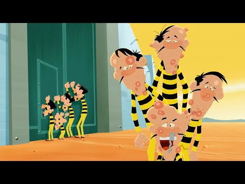 Les Dalton | Le mal du pénitencier (S01E40) Épisodes entiers en HD