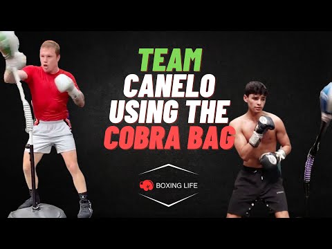 Team Canelo Using The Cobra 'Reflex' Bag | Canelo, Ryan Garcia, Andy Ruiz | Training Highlights