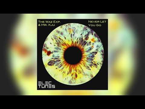 The Waz Exp. & Mr. Kju - Never Let You Go (Tom DeLuxe Beach Mix)