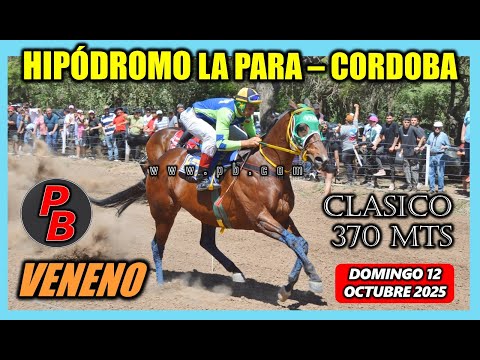 VENENO: HIPODROMO MUNICIPAL LA PARA - CORDOBA (12-10-2025)