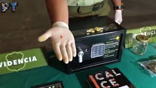 Orange Ecstasy Pills With Donald Trumps Face