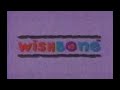 PTV Park The Game Next Bumper Wishbone 1996 1998