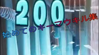 キーマウ初心者スーパー神キル集