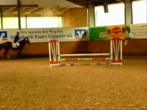 Springreiter Cappeln :D