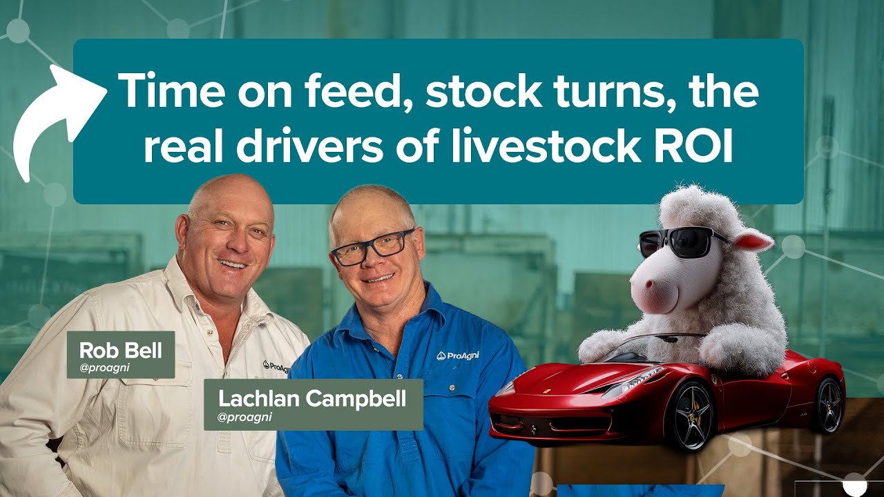 Time on feed, stock turns, the real drivers of livestock ROI. @proagni