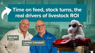 Time on feed, stock turns, the real drivers of livestock ROI. @proagni