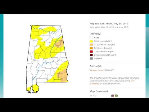 May 30, 2019 Weather Xtreme Video - Afternoon Edition