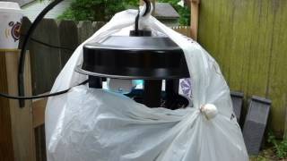 Dynatrap Cleanout