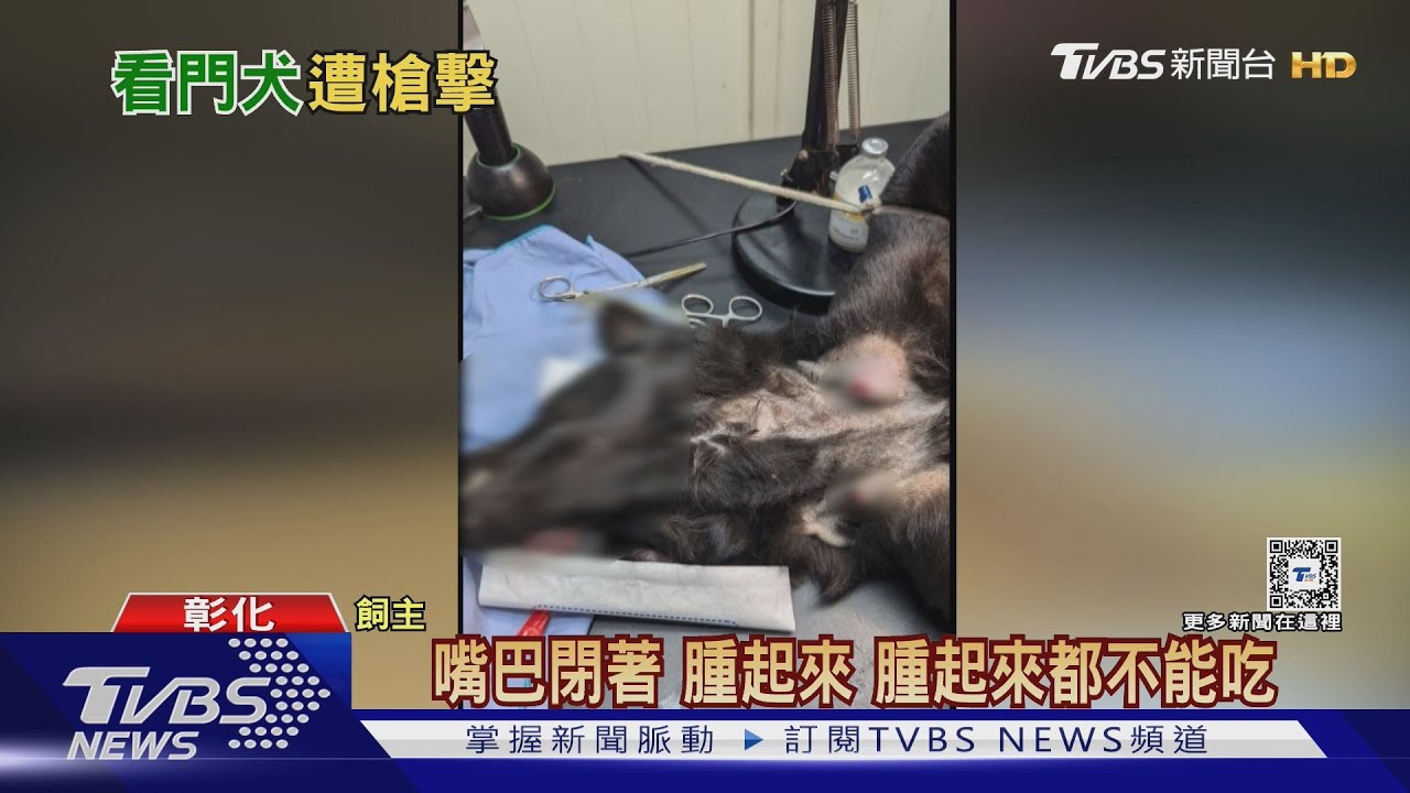 拿狗當活靶打爛嘴　殘忍騎士落網稱「試槍」