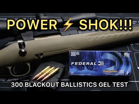 300 Winchester Magnum Federal Fusion Ballistics Gel Ammo Test