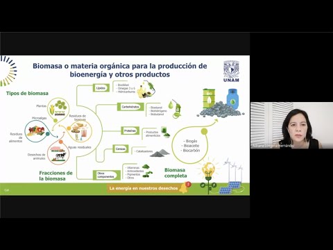 Imagen Webinar: La energía del sol atrapada en la biomasa