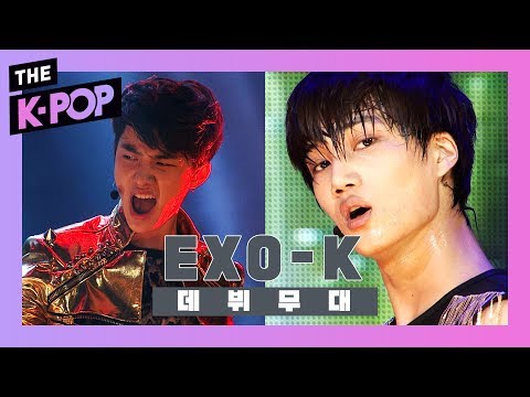 [The Debut Stage] EXO-K, MAMA