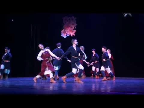 TDK “Zalktis” koncertā  AIZ VEF KP 21.02.2026