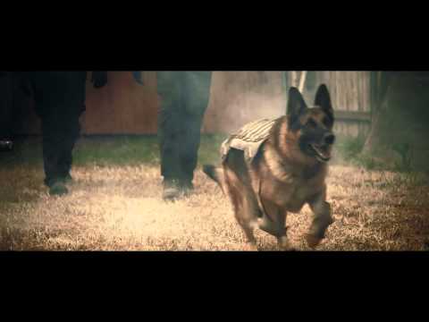 The Last Cat on Earth - Music Video / Последний кот на Земле